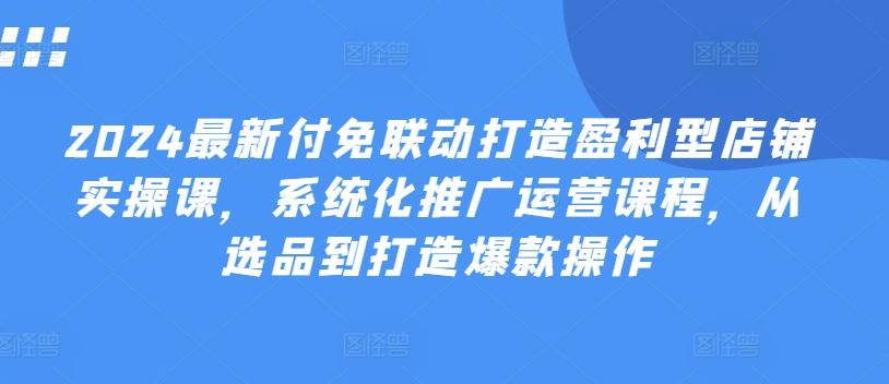 2024最新付免联动打造盈利型店铺实操课，​系统化推广运营课程，从选品到打造爆款操作-玖哥网创