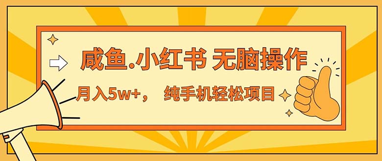 （11524期）2024最赚钱的项目，咸鱼，小红书无脑操作，每单利润500+，轻松月入5万+…-玖哥网创