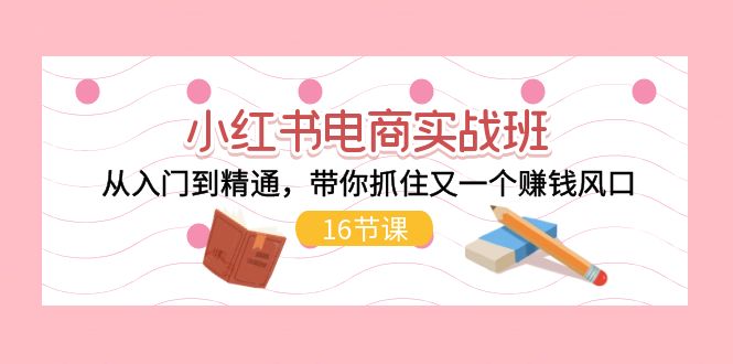 （11533期）小红书电商实战班，从入门到精通，带你抓住又一个赚钱风口（16节）-玖哥网创