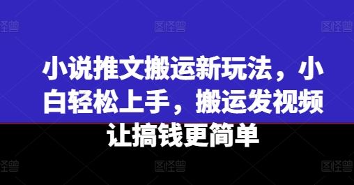 小说推文搬运新玩法，小白轻松上手，搬运发视频让搞钱更简单-玖哥网创