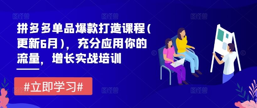 拼多多单品爆款打造课程(更新6月)，充分应用你的流量，增长实战培训-玖哥网创