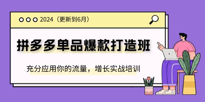 （11556期）2024拼多多-单品爆款打造班(更新6月)，充分应用你的流量，增长实战培训-玖哥网创