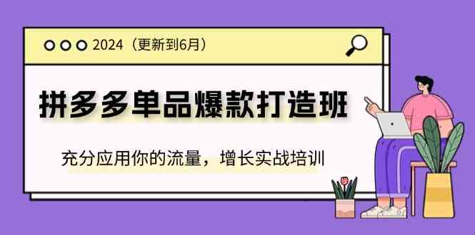 2024拼多多单品爆款打造班，充分应用你的流量，增长实战培训(更新6月)-玖哥网创