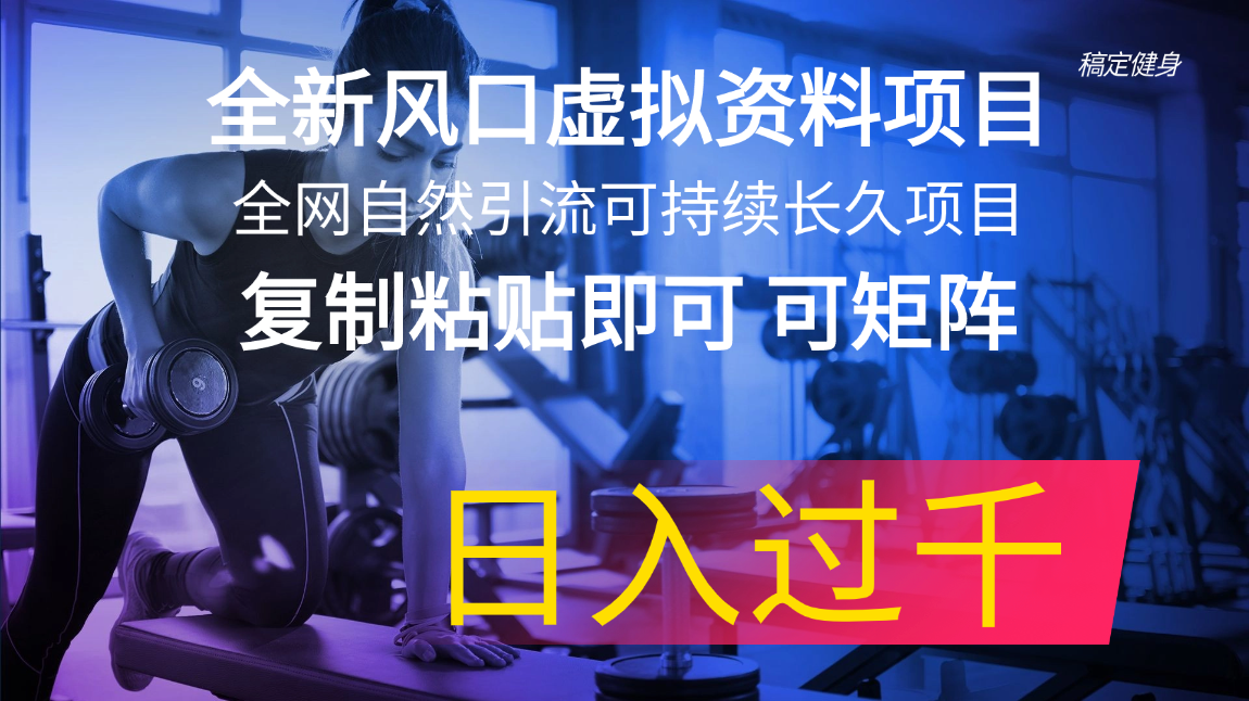 （11587期）全新风口虚拟资料项目 全网自然引流可持续长久项目 复制粘贴即可可矩阵…-玖哥网创