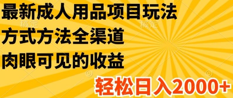 最新成人用品项目玩法，方式方法全渠道，轻松日入2K+【揭秘】-玖哥网创