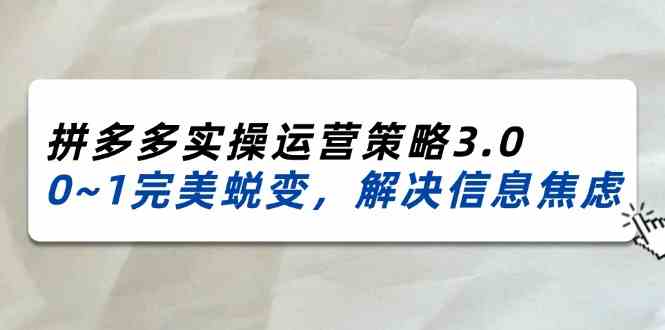 2024-2025拼多多实操运营策略3.0，0~1完美蜕变，解决信息焦虑（38节）-玖哥网创