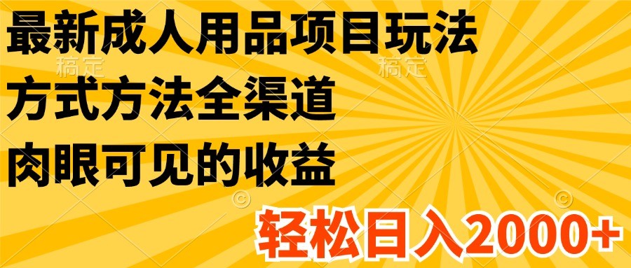 最新成人用品项目玩法，方式方法全渠道，肉眼可见的收益，轻松日入2000+-玖哥网创