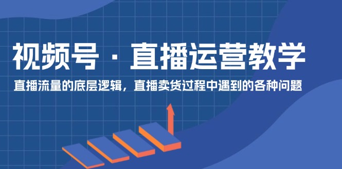 （11687期）视频号 直播运营教学：直播流量的底层逻辑，直播卖货过程中遇到的各种问题-玖哥网创