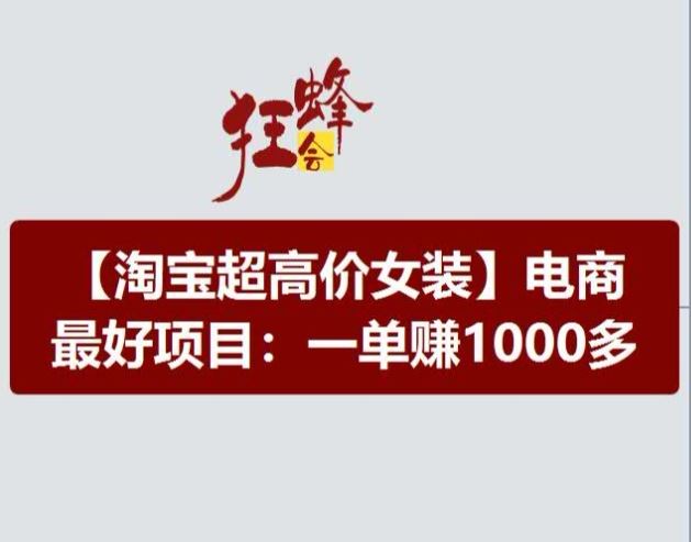 淘宝超高价女装项目，电商最好赛道，一单赚1000多-玖哥网创