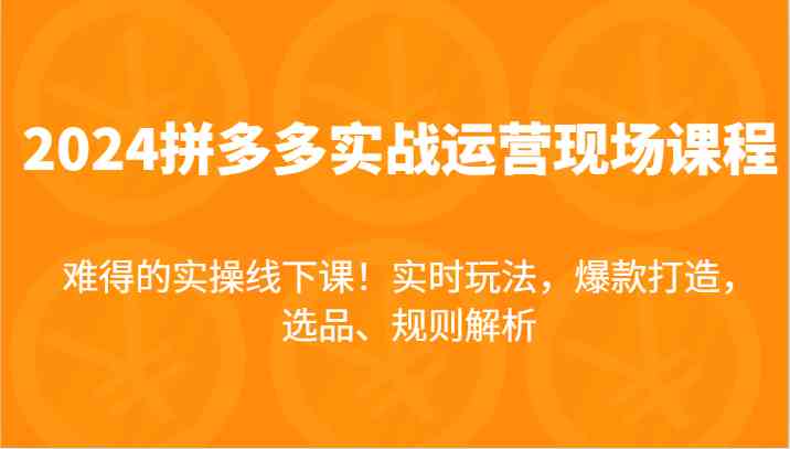 2024拼多多实战运营现场课，实时玩法，爆款打造，选品、规则解析，难得的实操线下课！-玖哥网创