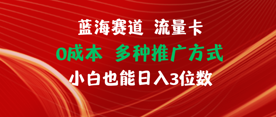 （11768期）蓝海赛道 流量卡 0成本 小白也能日入三位数-玖哥网创