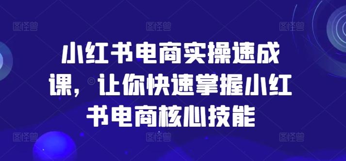 小红书电商实操速成课，让你快速掌握小红书电商核心技能-玖哥网创