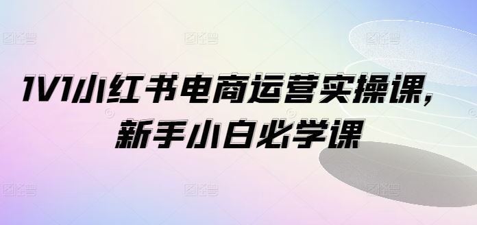 1V1小红书电商运营实操课，新手小白必学课-玖哥网创