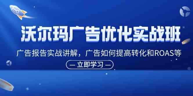 沃尔玛广告优化实战班，广告报告实战讲解，广告如何提高转化和ROAS等-玖哥网创