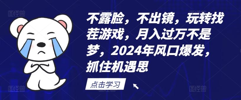 不露脸，不出镜，玩转找茬游戏，月入过万不是梦，2024年风口爆发，抓住机遇【揭秘】-玖哥网创