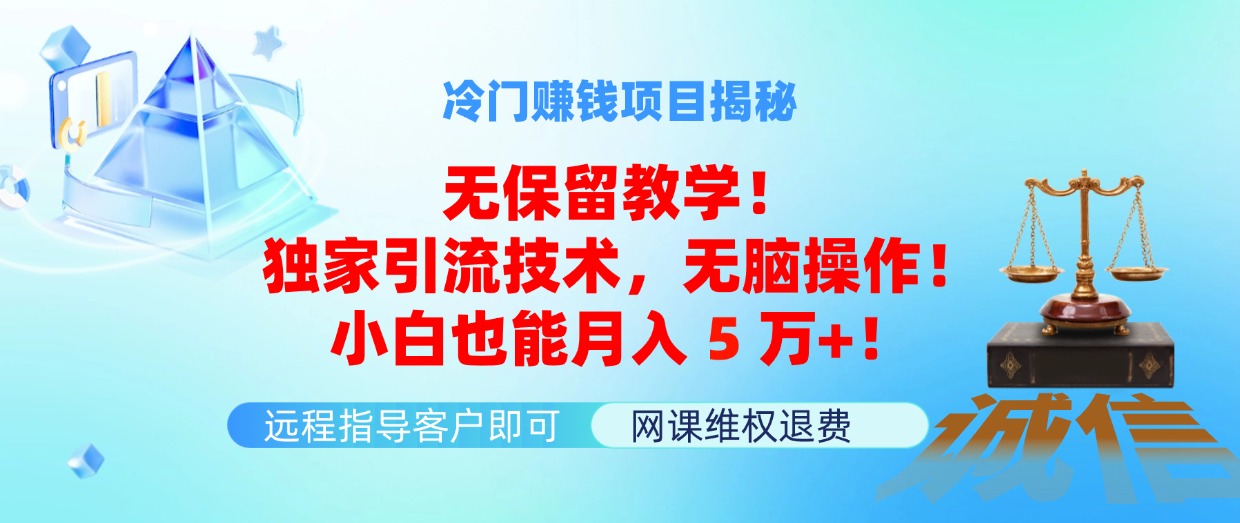 （11864期）冷门赚钱项目无保留教学！独家引流技术，无脑操作！小白也能月入5万+！-玖哥网创