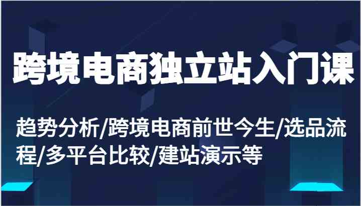 跨境电商独立站入门课：趋势分析/跨境电商前世今生/选品流程/多平台比较/建站演示等-玖哥网创