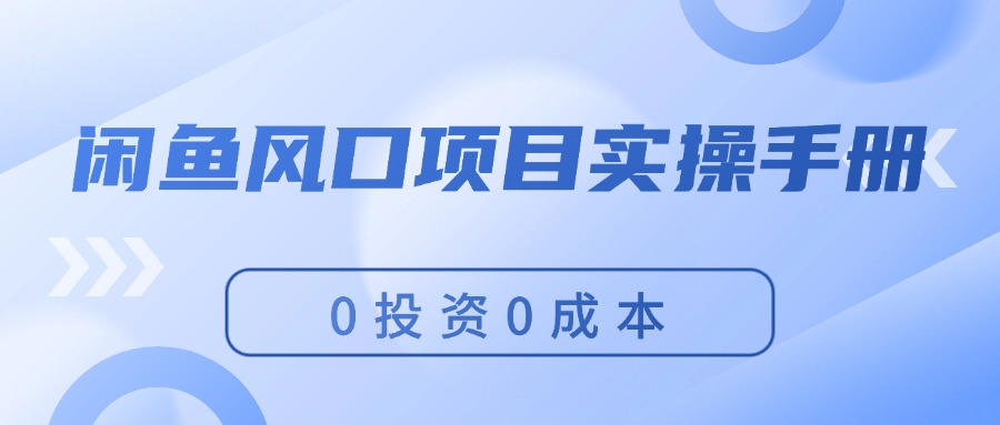 （11923期）闲鱼风口项目实操手册，0投资0成本，让你做到，月入过万，新手可做-玖哥网创
