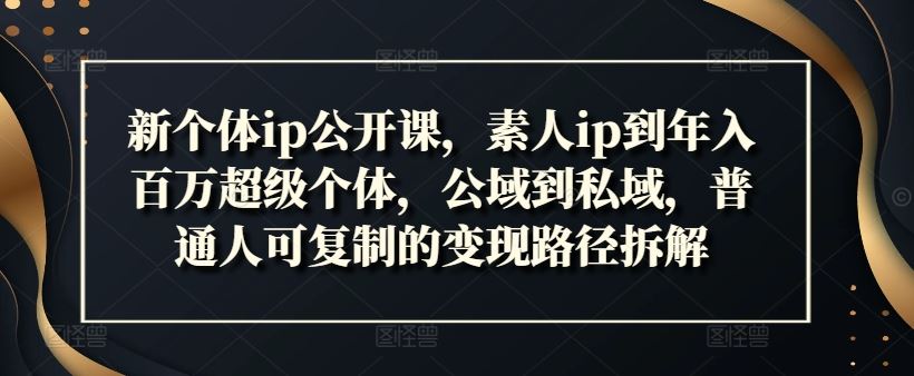 新个体ip公开课，素人ip到年入百万超级个体，公域到私域，普通人可复制的变现路径拆解-玖哥网创