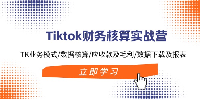 （11978期）Tiktok财务核算实战营：TK业务模式/数据核算/应收款及毛利/数据下载及报表-玖哥网创