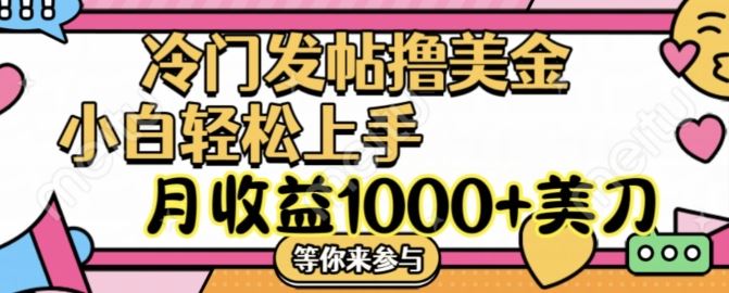 冷门发帖撸美金项目，月收益1000+美金，简单无脑，干就完了【揭秘】-玖哥网创