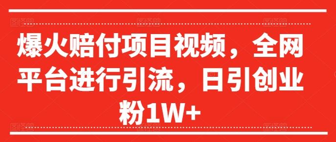 爆火赔付项目视频，全网平台进行引流，日引创业粉1W+【揭秘】-玖哥网创