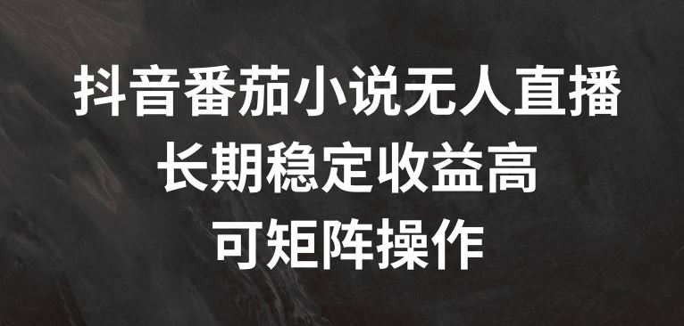 抖音番茄小说无人直播，长期稳定收益高，可矩阵操作【揭秘】-玖哥网创