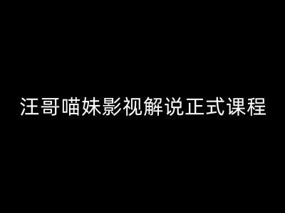 汪哥影视解说正式课程：剪映/PR教学/视解说剪辑5大黄金法则/全流程剪辑7把利器等等-玖哥网创