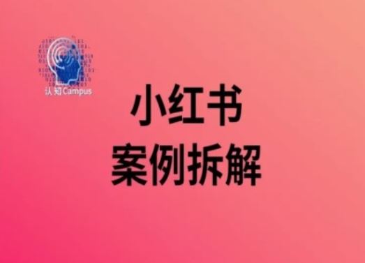 小红书案例拆解，深度解读小红书40万粉-玖哥网创