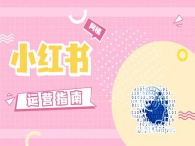 小红书运营指南，没有套路，全是经验-玖哥网创