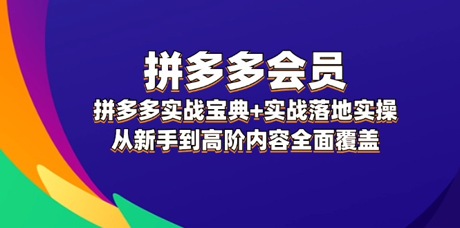 （12056期）拼多多 会员，拼多多实战宝典+实战落地实操，从新手到高阶内容全面覆盖-玖哥网创