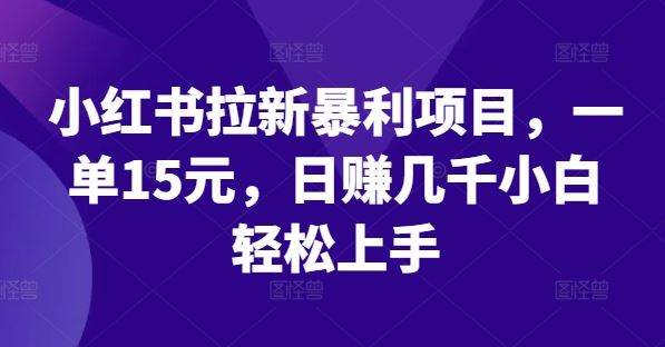 小红书拉新暴利项目，一单15元，日赚几千小白轻松上手【揭秘】-玖哥网创
