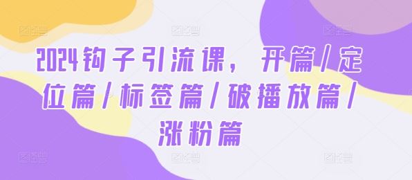 2024钩子引流课，开篇/定位篇/标签篇/破播放篇/涨粉篇-玖哥网创