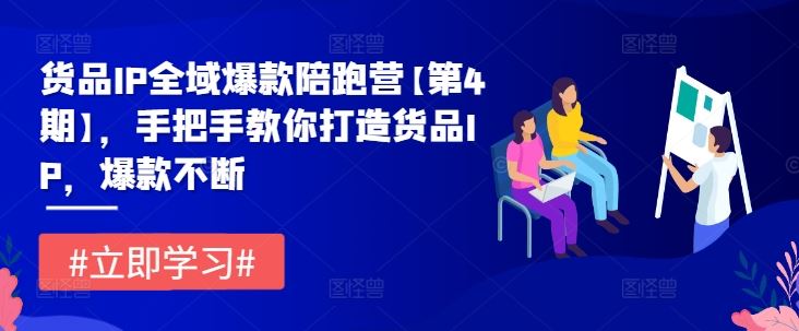 货品IP全域爆款陪跑营【第4期】，手把手教你打造货品IP，爆款不断-玖哥网创