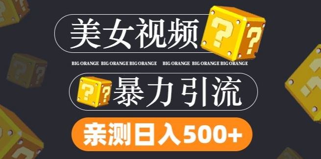 搬运tk美女视频全网分发，日引s粉300+，轻松变现，不限流量不封号【揭秘】-玖哥网创