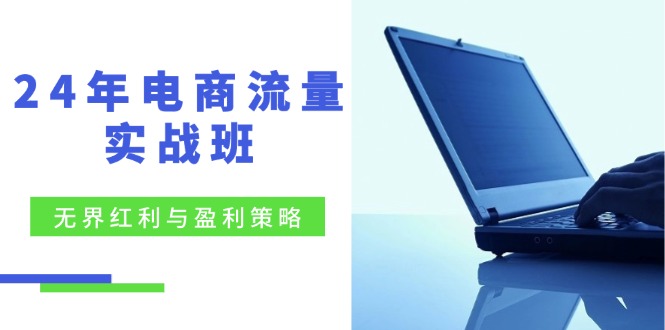（12168期）24年电商流量实战班：无界 红利与盈利策略，终极提升/关键词优化/精准…-玖哥网创