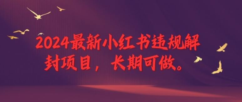 2024最新小红书违规解封项目，长期可做，一个可以做到退休的项目【揭秘】-玖哥网创