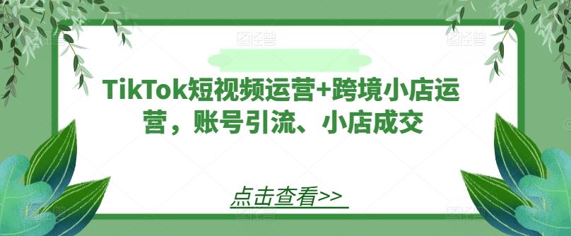 TikTok短视频运营+跨境小店运营，账号引流、小店成交-玖哥网创