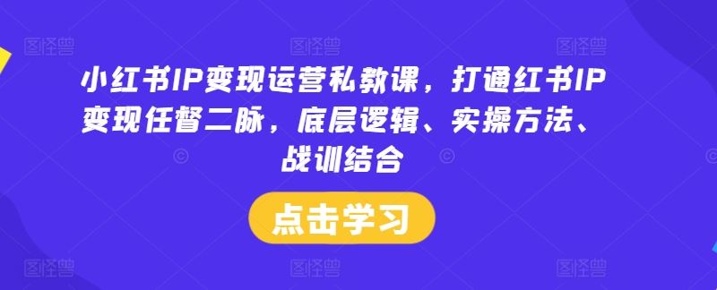 小红书IP变现运营私教课，打通红书IP变现任督二脉，底层逻辑、实操方法、战训结合-玖哥网创