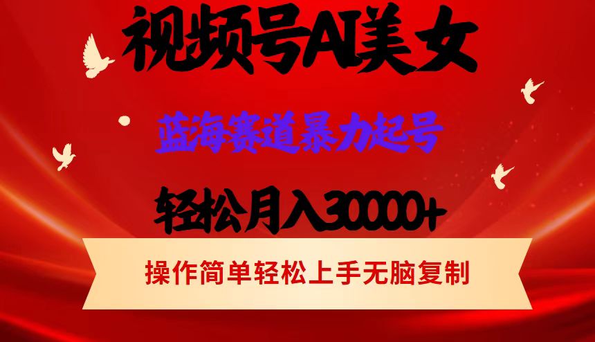 （12178期）视频号AI美女跳舞，轻松月入30000+，蓝海赛道，流量池巨大，起号猛，当…-玖哥网创