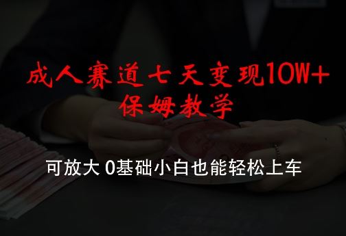 成人赛道七天变现10W+保姆教学，可放大，0基础小白也能轻松上车【揭秘】-玖哥网创