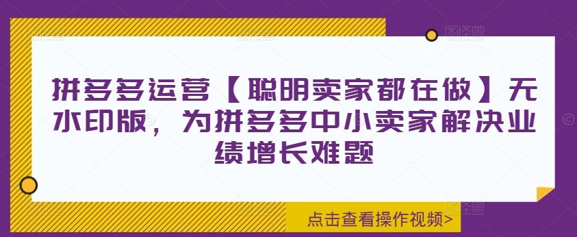 拼多多运营【聪明卖家都在做】无水印版，为拼多多中小卖家解决业绩增长难题-玖哥网创