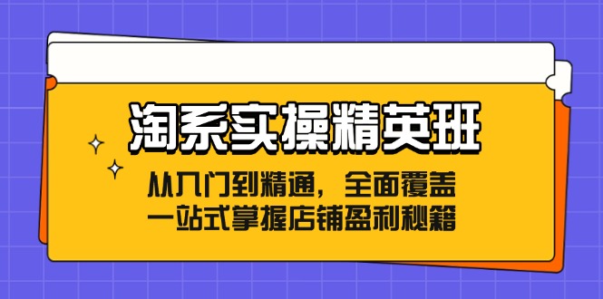 （12276期）淘系实操精英班：从入门到精通，全面覆盖，一站式掌握店铺盈利秘籍-玖哥网创