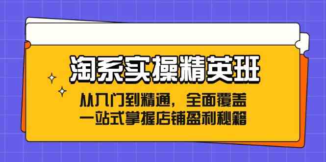 淘系实操精英班：从入门到精通，全面覆盖，一站式掌握店铺盈利秘籍-玖哥网创