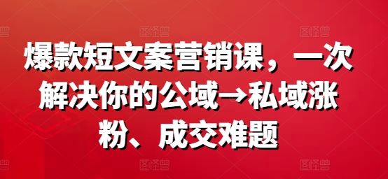 爆款短文案营销课，一次解决你的公域→私域涨粉、成交难题-玖哥网创