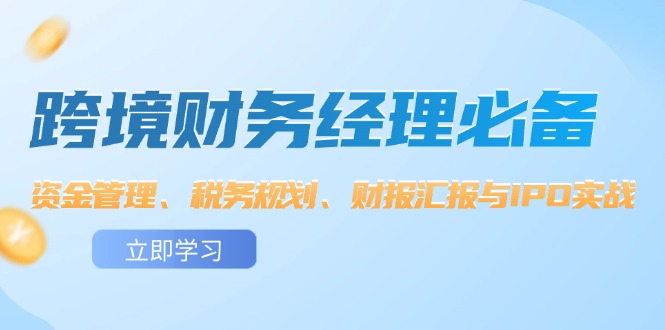 （12323期）跨境 财务经理必备：资金管理、税务规划、财报汇报与IPO实战-玖哥网创