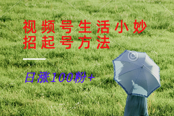 视频号生活小妙招分享赛道， 起号涨粉新方法，日涨100粉-玖哥网创