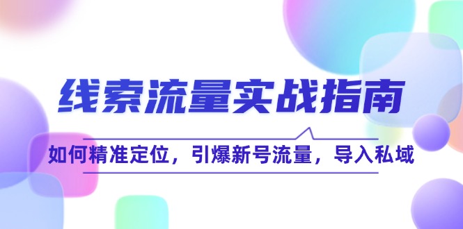 （12382期）线 索 流 量-实战指南：如何精准定位，引爆新号流量，导入私域-玖哥网创