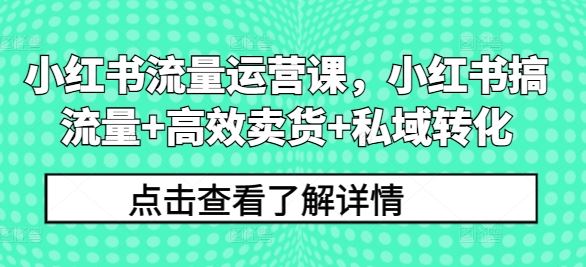 小红书流量运营课，小红书搞流量+高效卖货+私域转化-玖哥网创