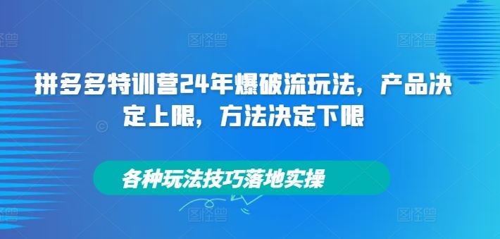 拼多多特训营24年爆破流玩法，产品决定上限，方法决定下限，各种玩法技巧落地实操-玖哥网创